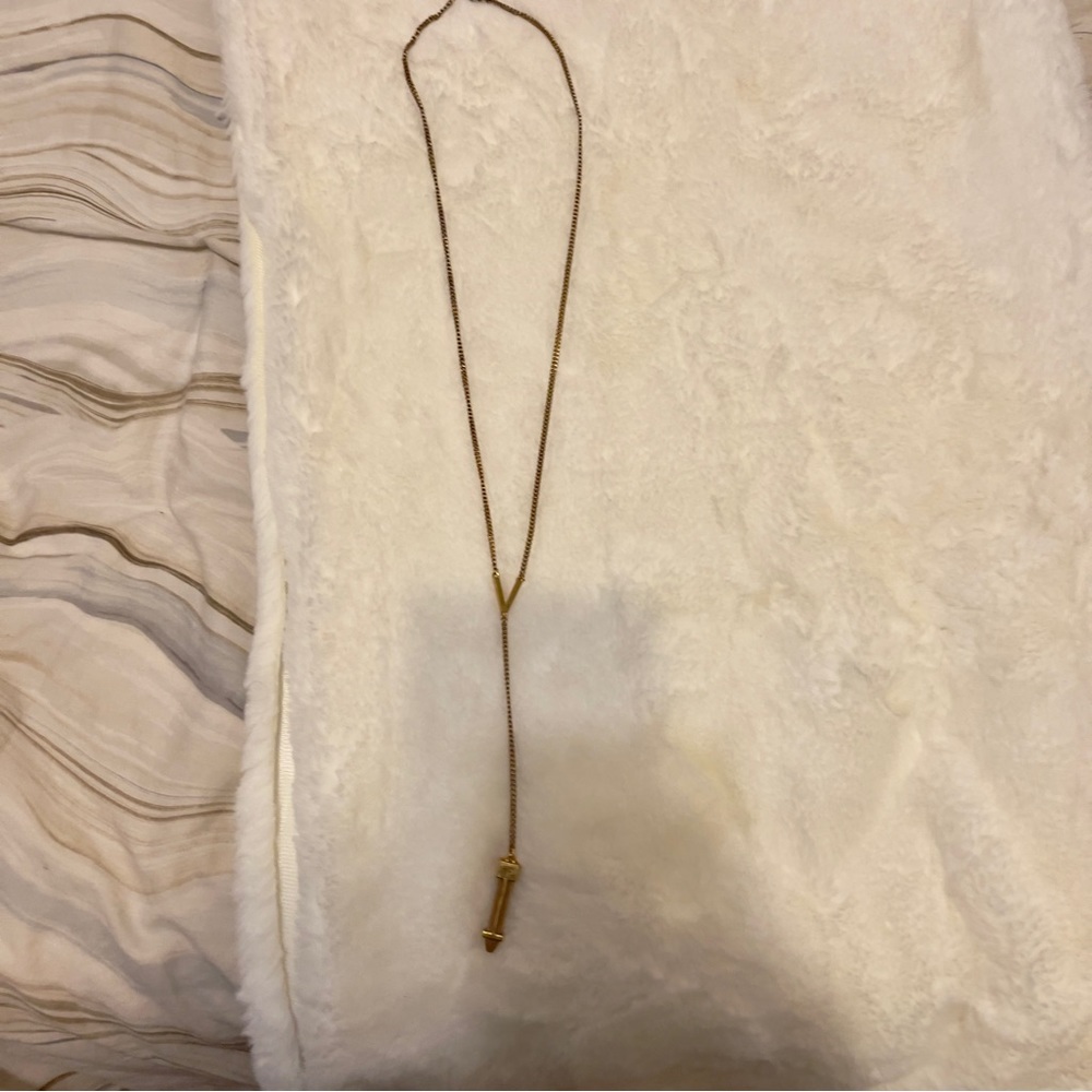 Long Vince Camuto’s necklace